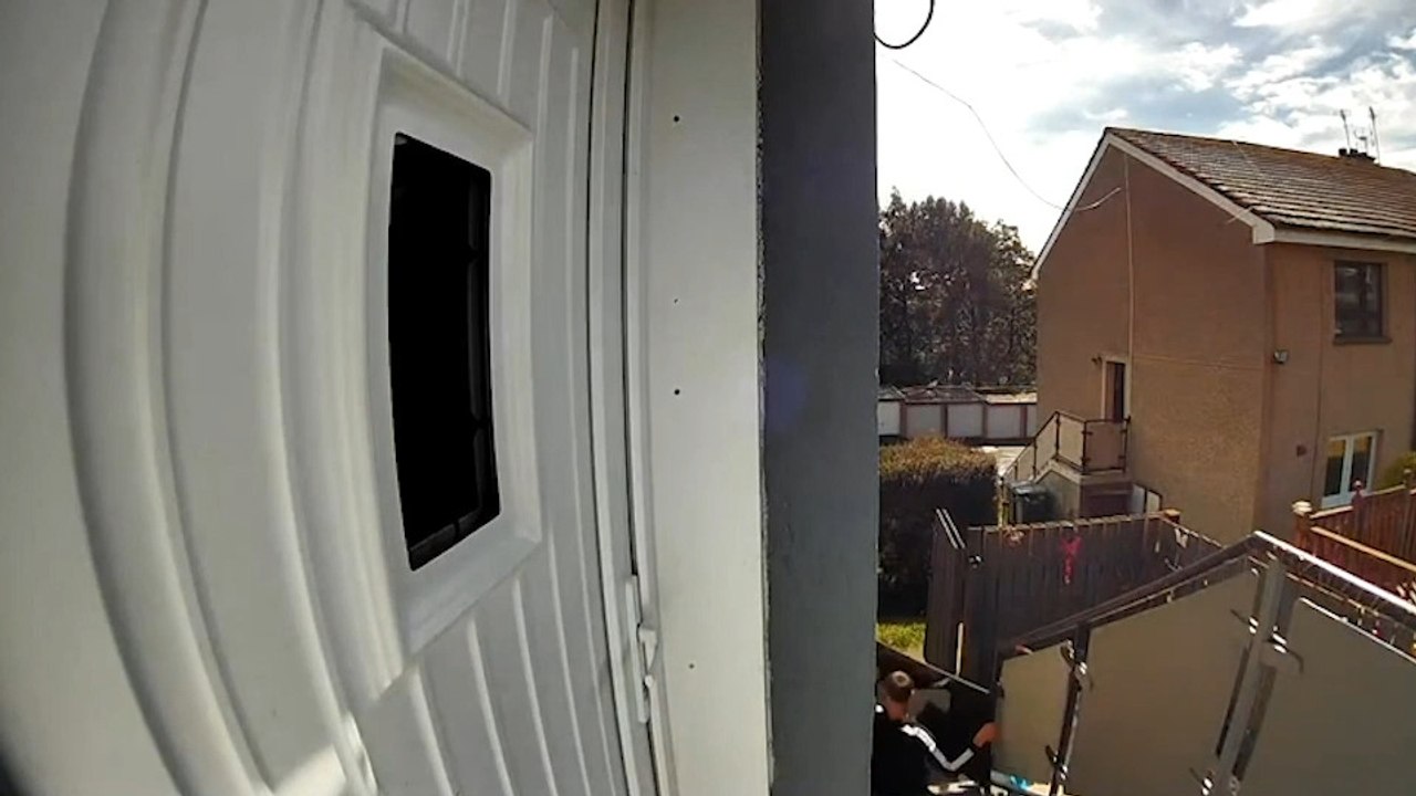 Guy Falls Down Stairs While Carrying TV