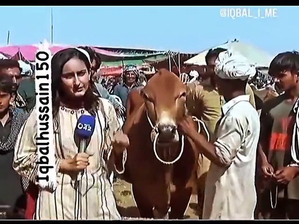Funny Clip from Bakra mandi