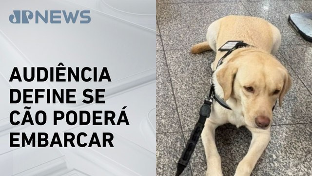 Justiça marca audiência após TAP negar embarque de cão de criança autista