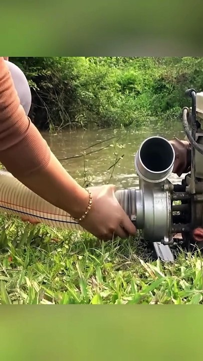Gadis cantik mencari ikan