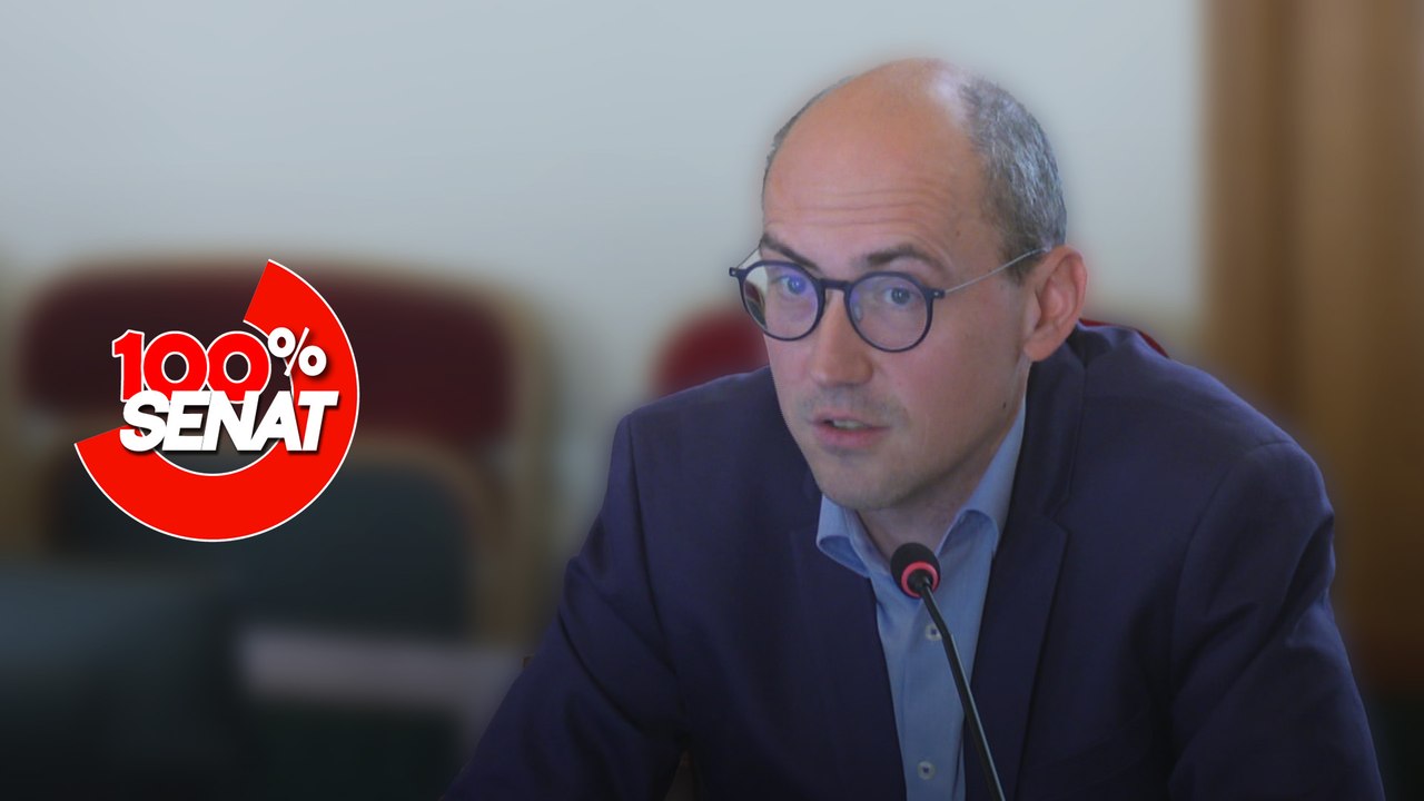 100% Sénat - Guerre commerciale : quelles conséquences sur l'économie ?