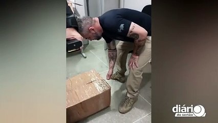 Polícia intercepta carro com grande quantidade de maconha que seguia do Sertão para Campina Grande