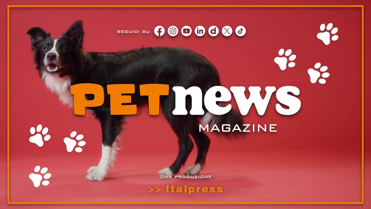 PetNews Magazine - 27/5/2025
