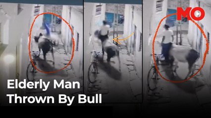 Bull charges, lifts elderly man in violent attack caught on CCTV