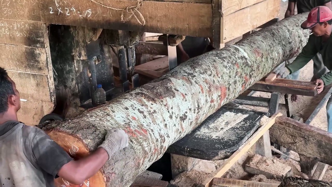 Sawing 2x20 Boards for House Project Using a Sawmill Machine
