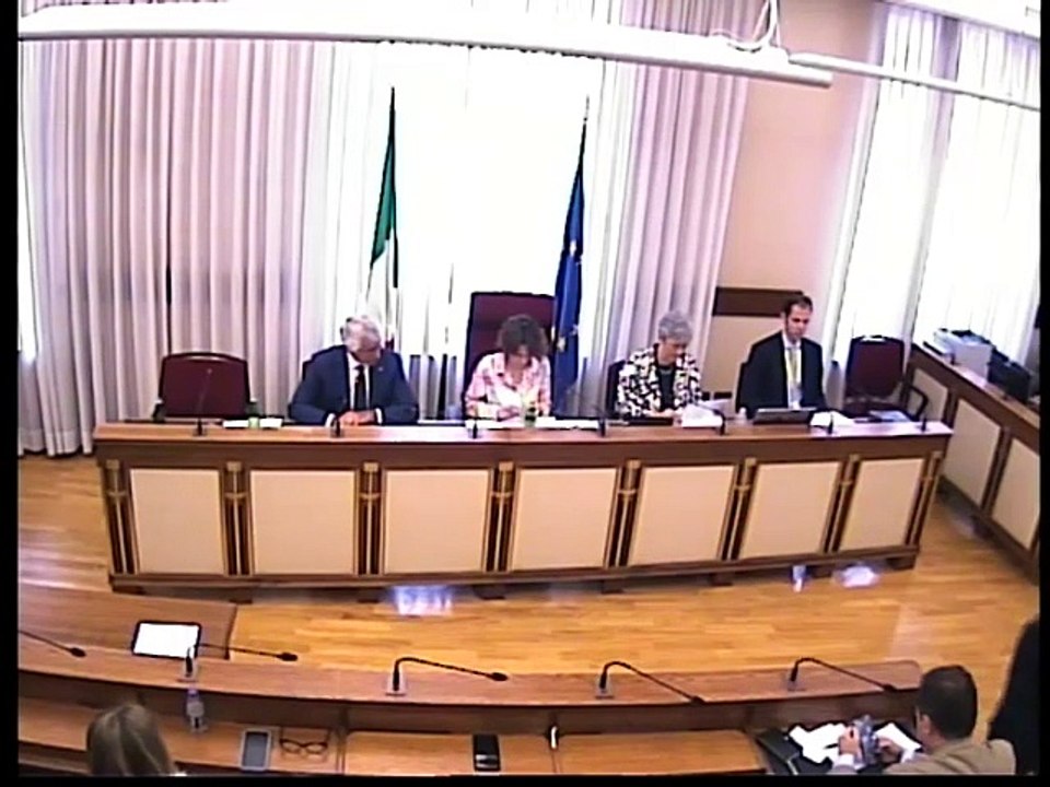 Roma - ​Transizione demografica, audizioni Manfredi e Abodi (27.05.25)