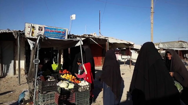 Сирийское правительство и курды эвакуируют семьи из лагеря Аль-Хол