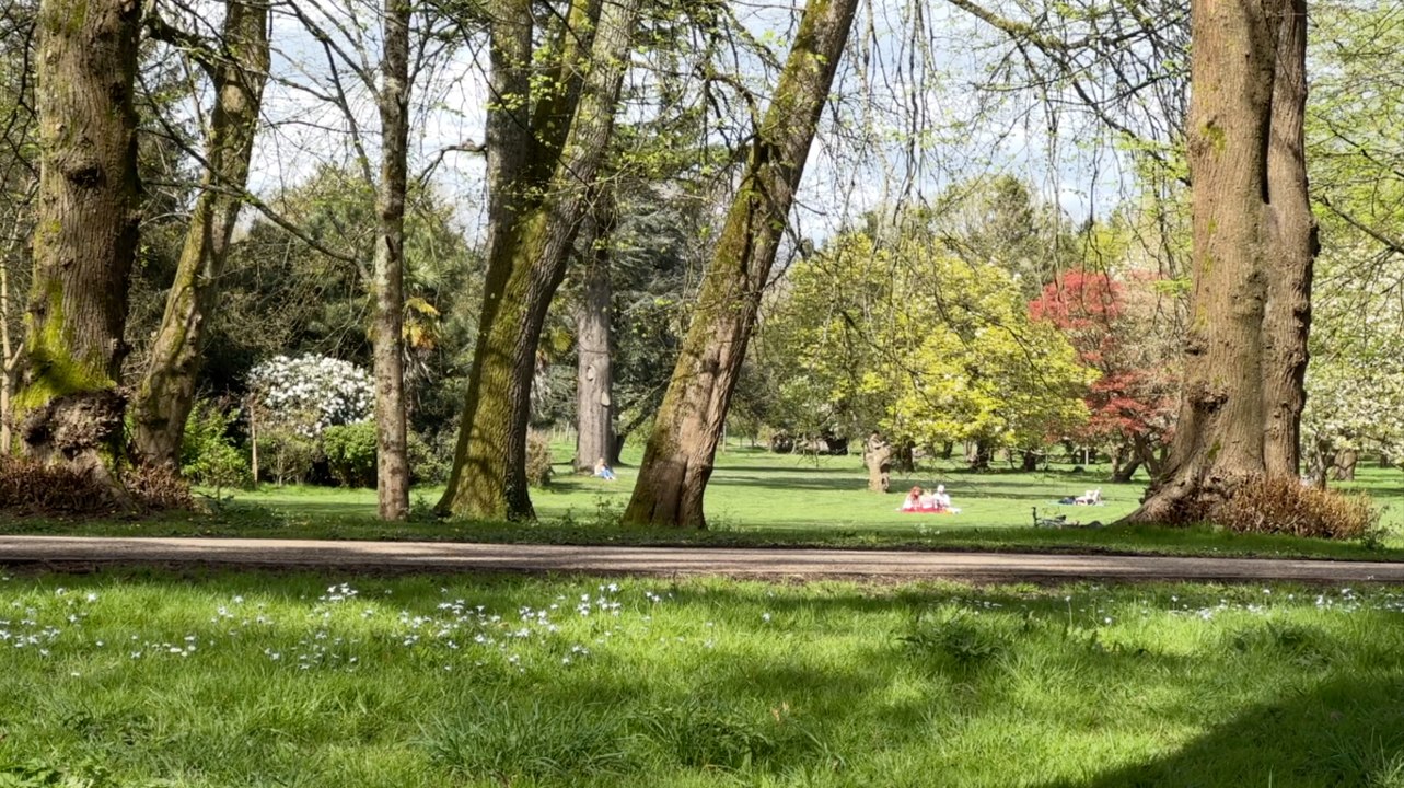 Protecting Welsh parks