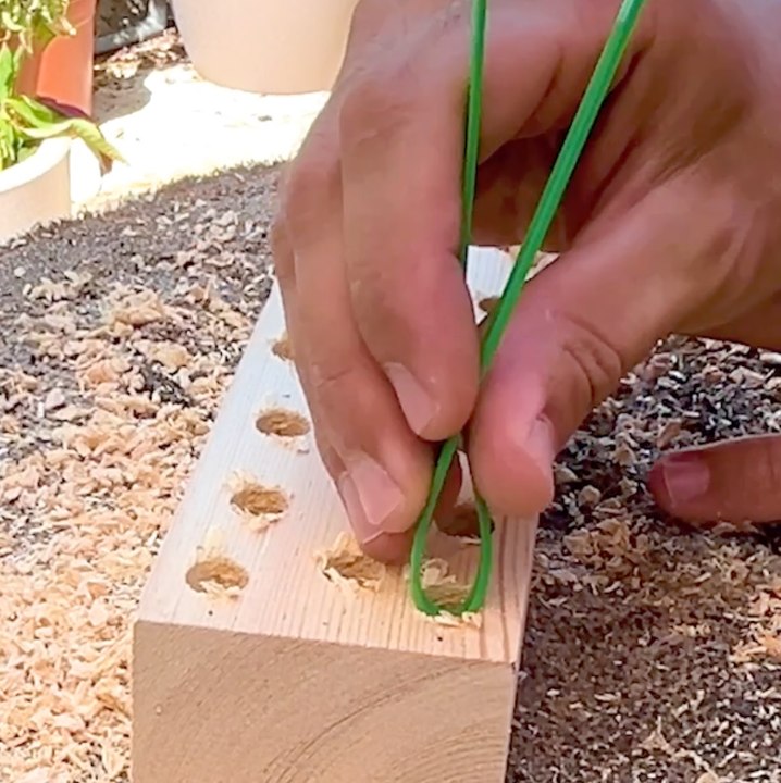 Transformation étonnante de déchets plastiques en outils de jardinage !