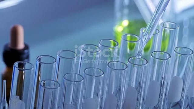 Birla Estates' next housing project, Birla Evara, is ideally situated on Sarjapur Road, a prominent road in East Bangalore.