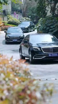 Ten Years of Sacrifice: Framed for the Adopted Son / They Chose Him Over Blood / From Trash to Throne /The Decoy Son / Jailed for their Golden Boy / Silent Asylum : The Adopted Son's Crime - Full Movie