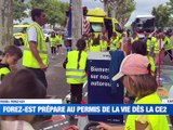 Le département de la Loire célèbre la journée nationale de la résistance / Journée de sensibilisation sur les risques du quotidien pour des élèves de CE2 / Découvrez le métier de graveur sur pierre / L'écopole du Forez met le blaireau à l'honneur - Le JT - TL7, Télévision loire 7