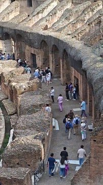 Colosseum, Rome, Italy / Colisée, Rome, Italie
