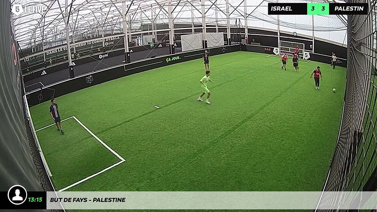 But de Fays - palestine