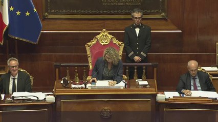 Cataldi  - Intervento in Senato (27.05.25)
