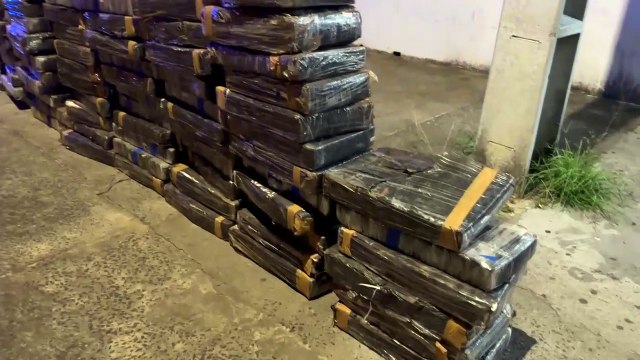 PRF apreende quase duas toneladas de maconha escondidas em carga de papel reciclável
