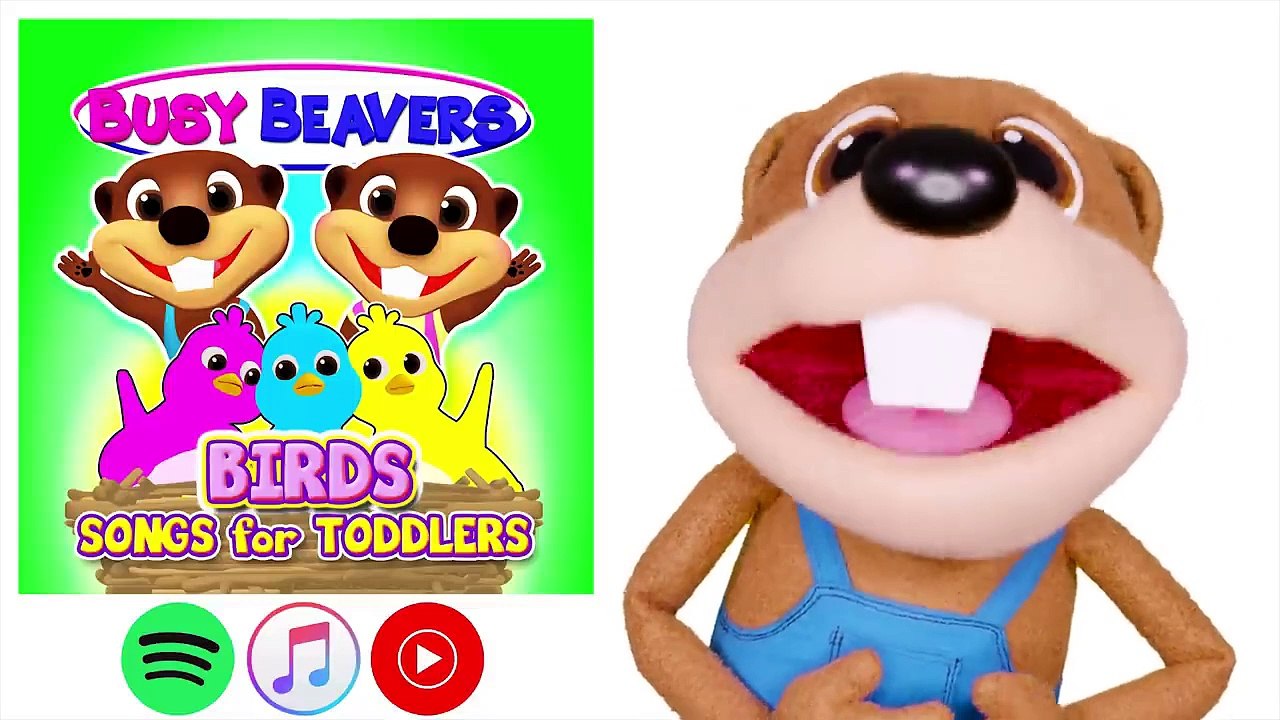 Learn to Fly + More _ Children Learning Songs, Teach ABCs, Colors _ Nursery Rhymes by Busy Beavers