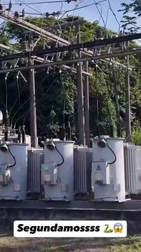 “Resgate eletrizante”: maior cobra de SC é encontrada em subestação de energia em Jaraguá do Sul