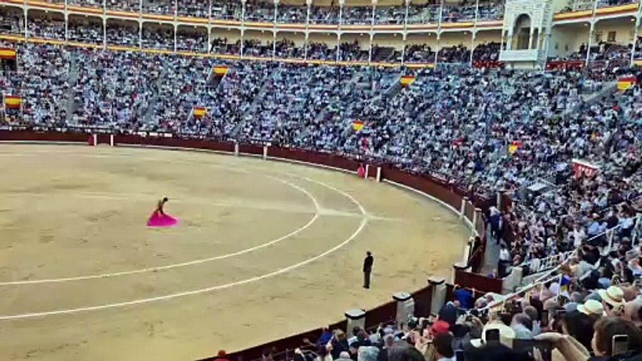 portagayola video