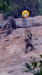 #funny shorts#viral video #comedy#chinese