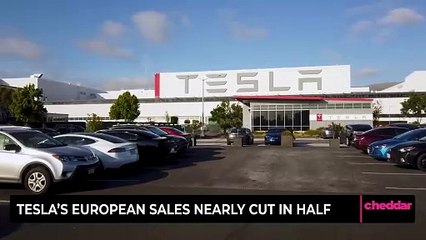 Tesla's European Sales Nearly Cut in Half