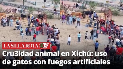 Cru3ldad Animal: Gatos atados con pirotecnia en rodeo de Guanajuato