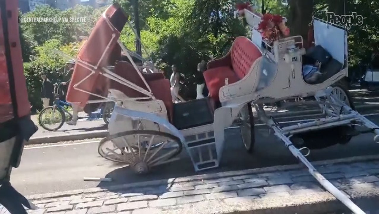 N.Y.C. Horse-Drawn Carriage Crash Sparks Renewed Calls for Ban as 2 Operators Are Hospitalized