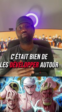 Les théories ne donne plus goût au mangas : ONE PIECE