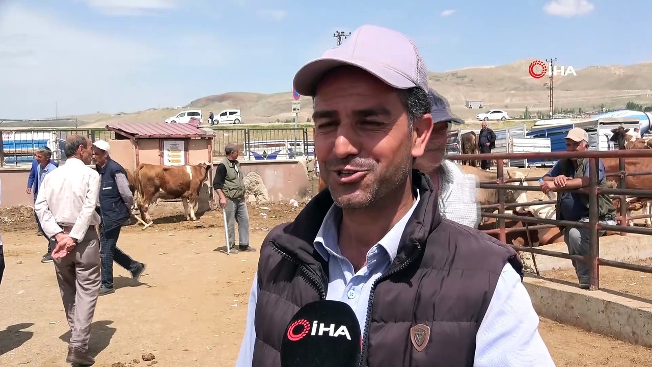 Van'da hareketlilik başladı! Kurbanlıklar görücüye çıktı, bayrama sayılı günler kaldı