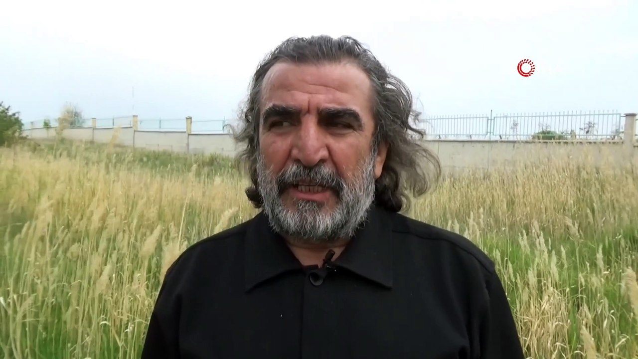 Van'da dikkuyrukların sayısı artmaya devam ediyor