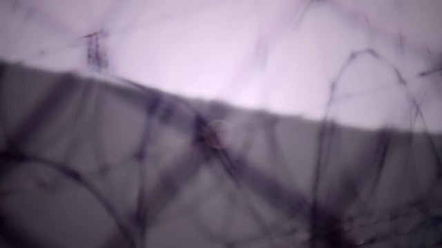 Behind Bars_ The World’s Toughest Prisons - Antananarivo Prison, Madagascar _ Free Documentary