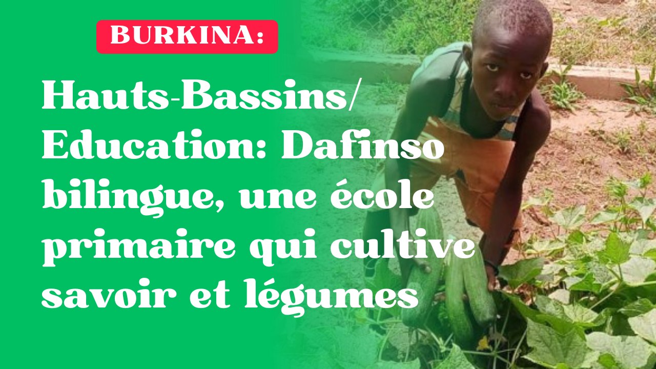 Hauts-Bassins/Education : Dafinso bilingue, une école primaire qui cultive savoir et légumes