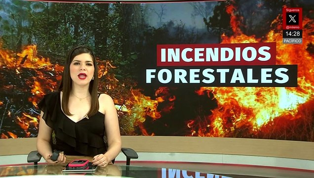 Incendio forestal mantiene en alerta a los habitantes de Jacala de Ledezma, Hidalgo