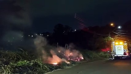 Bombeiros combatem incêndio em vegetação no Bairro Universitário