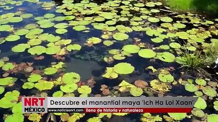 Descubre Ich Ha Lol Xaan: Un manantial maya lleno de historia y naturaleza