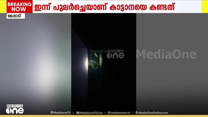 മേപ്പാടിയിൽ കാട്ടാനയിറങ്ങി; ഇന്ന് പുലർച്ചയാണ് കട്ടാനയെ കണ്ടത്