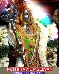 வடிவேலன் TMS LEGEND M.THIRAVIDA SELVAN SINGAPORE TMS FANS 2025