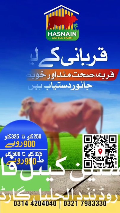 Cattle house husnain lahore