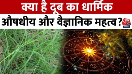 भाग्य चक्र: दूर्वा का दिव्य प्रयोग, गणेश कृपा से समाधान और देखें आज का राशिफल