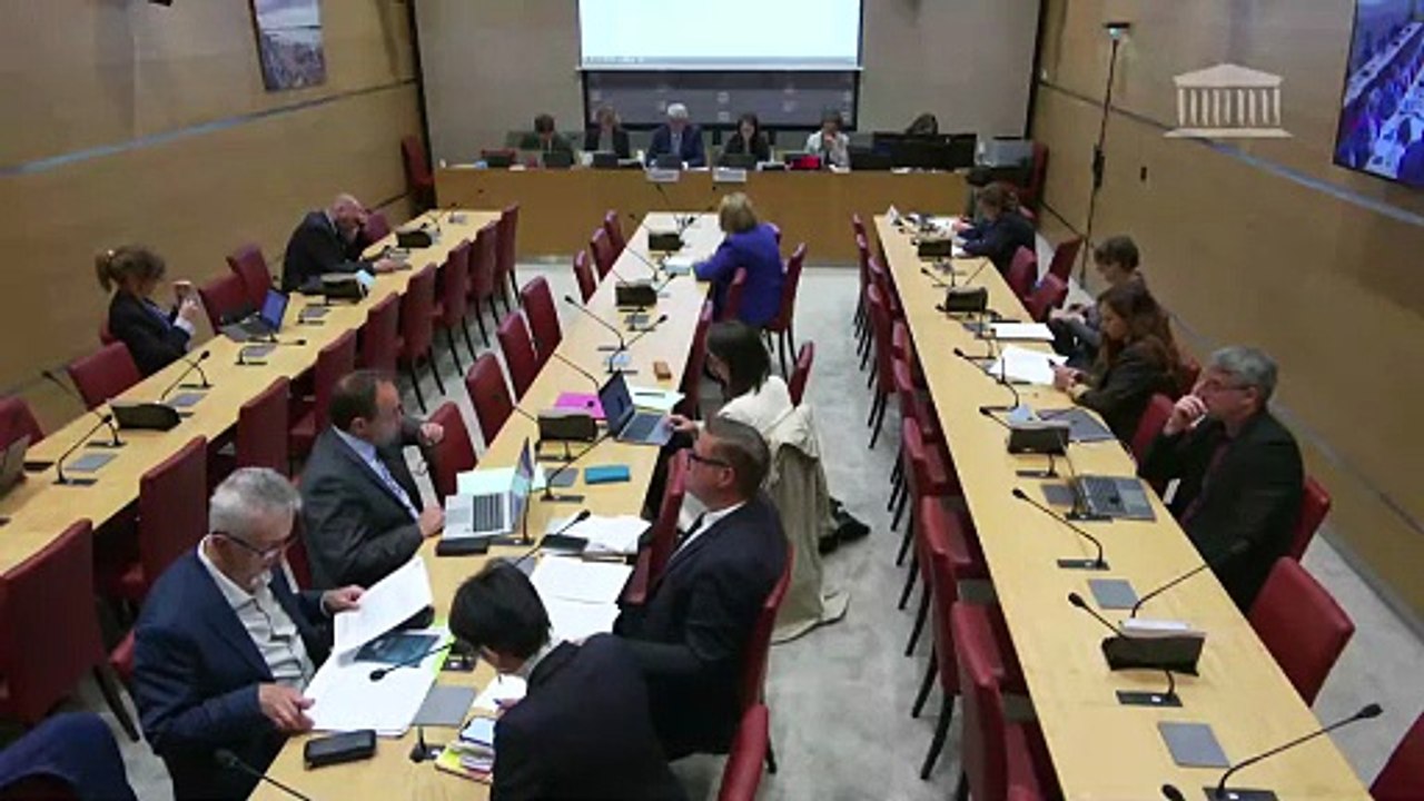 Commission du développement durable : Programmation nationale et simplification normative dans le secteur économique de l’énergie - Mardi 27 mai 2025