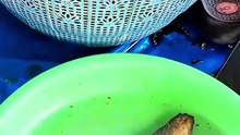 Lezatnya Bale Tapa, Ikan Asap Khas Bulukumba