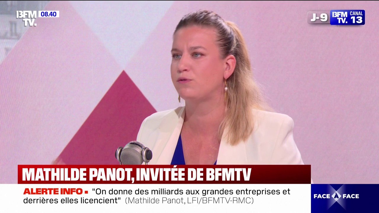 Loi Duplomb: "Il faut sortir l'agriculture de l'agrobusiness dans lequel on a enfermé les agriculteurs et agricultrices", déclare Mathilde Panot