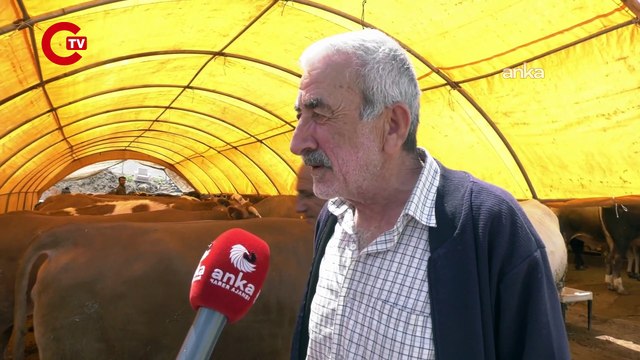 Kurban Bayramı’na sayılı günler kala kurban pazarlarında besiciler: Maliyetler yüksek, talep az