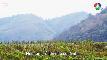 CÔ DÂU BỊ CÁO | JAO SAO JUM LOEY | EP01 [3/3]