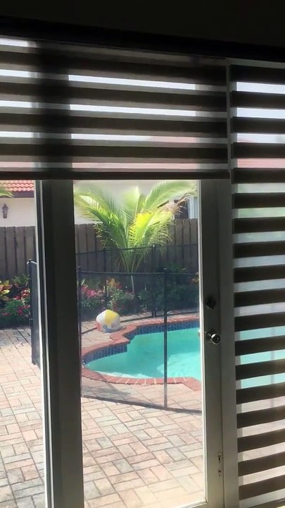 Best Windows Blinds In Miami