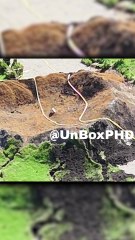 Photo d'Avengers contre Doomsday 🛡️