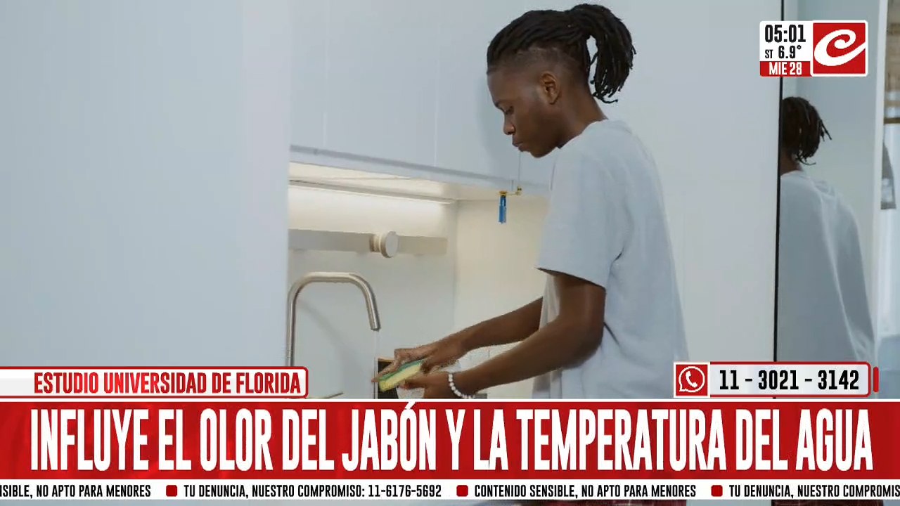 Aseguran que lavar los platos calma los nervios y ayuda a reducir el estrés