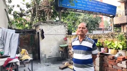 कोई तो सुन लो! एक हफ्ते से सड़क पर गिरा पड़ा 90 फुट लंबा पेड़, हादसों को दे रहा दावत