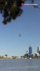 Ace Your Studies with Expert Academic Support in Perth