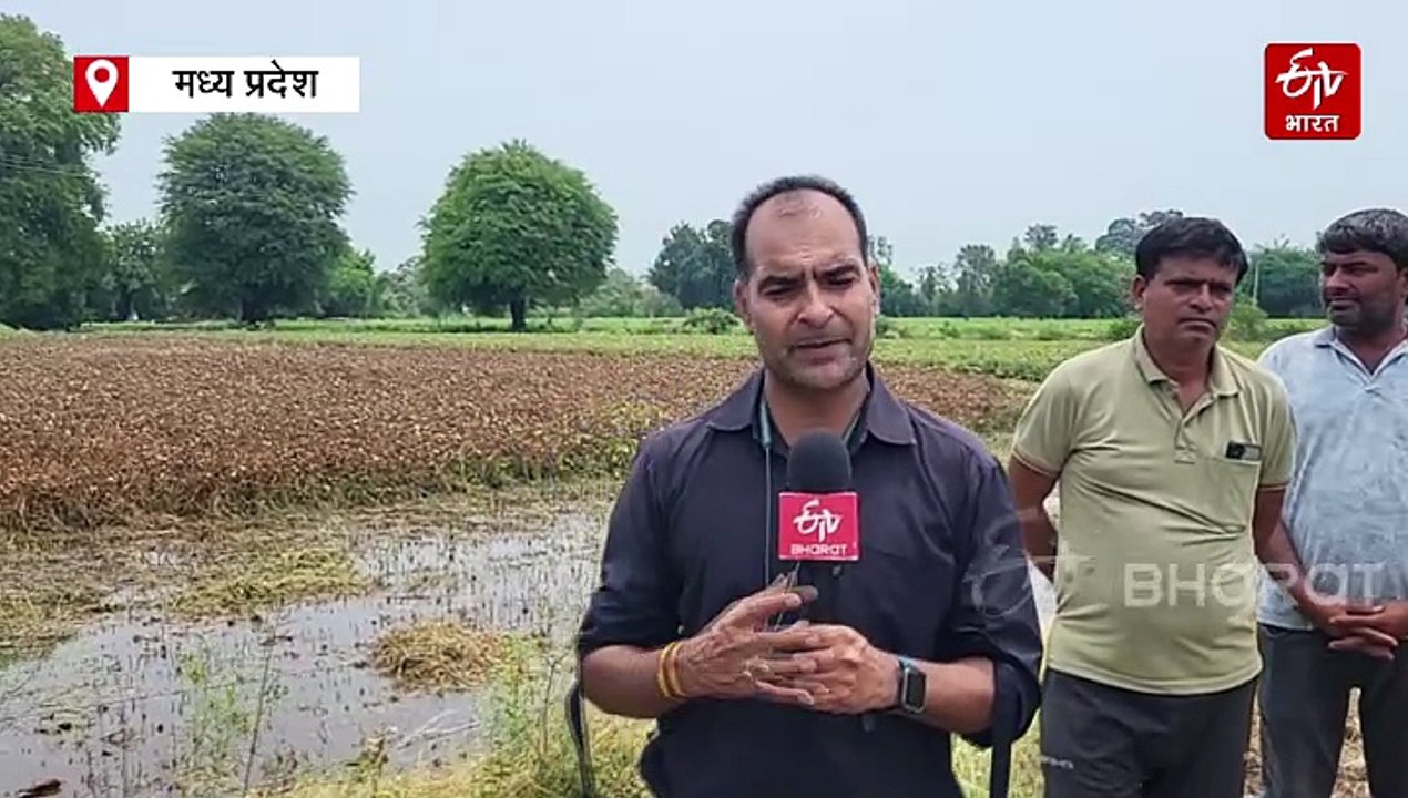 मध्य प्रदेश में मानसून की आ गई डेट, उससे पहले हरदा में उजड़ गए खेत